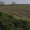 omgeving landschap de Liereman 