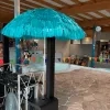 zwembad Lier met DJ