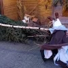 vernieling_kerststal_olen_-_foto_facebook.jpg