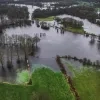 olens_broek_110124_-_maxime_bervoets_-_agentschap_voor_natuur_en_bos.jpg