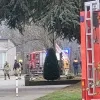 brandje_school.jpeg