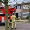 brandje_frietketel.jpg