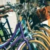 Puurs- St-Amands fietsen te koop