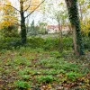 tuin_wordt_park_nekkerspoel_260124_-_foto_stad_mechelen.jpg