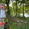 Botulisme in vijver Beerse?