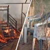 Crowdfunding voor dierenopvang Griekenland