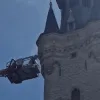 Nest hoornaars aan stadhuis Lier