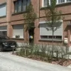 Donkerlei buurt Mechelen-Noord groener