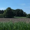maanhoevevallei katelijn