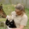 Eerste check-up voor rode pandatweeling in ZOO Planckendael