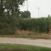moord meer