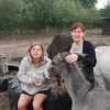 Balkeneinde ezels 