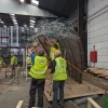 Hoogstraten in groenten & bloemen voorbereiding