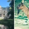 geitjes vermoord Tivoli Mechelen