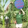 Liefde is samen een boerderij runnen