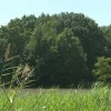 Maenhoevevelden Sint-Katelijne-Waver dossier woonproject