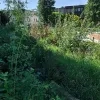 Tuin Sint-Pietersinstituut Turnhout