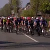 scheldeprijs 