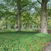 Turnhout werkt aan natuurbegraafplaats op Nazareth