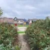 Grote zoekactie in Weelde-Statie: gevangene gevat