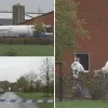 Vogelgriep in bedrijf in Weelde Vogelgriep in bedrijf in Weelde