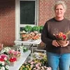 chrysanten aan kerkhof Geel
