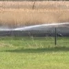 eerste natuurbrand van het seizoen in Berlaar