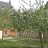 Stiltetuin Bisschoppelijk paleis Mechelen