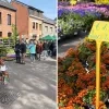 Plantenbeurs Liezele 2026