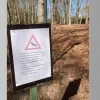 broedende buizerds Stoktsebaan Vosselaar