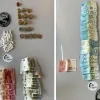 huiszoeking drugs bodukap