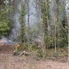 Brandje in een bos aan Steert in Dessel