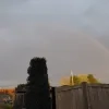 Regenboog in Schriek