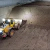 Aardappelschuur bij teler in Retie