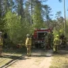Brandweerzone Kempen oefent op bosbrandscenario's