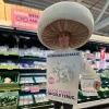 herbruikbare champignons 