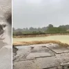 Oeverzwaluwkolonie aan bouwput in Weelde