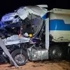 Tankwagen botst tegen boom in Weelde