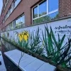 Kunstwerk Animalinas Mechelen