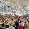 Palingfestival Mariekerke Bornem
