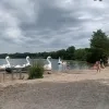 Vijver Sunparks