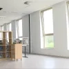 bezige bijtjes voortkapel