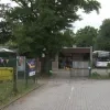Klimop in Bonheiden