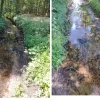 Rode Loop – stroomgebied Kleine Nete