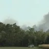 brand de liereman archief