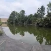 Waterbassin groenteteler Bert De Keyser uit Sint-Katelijne-Waver