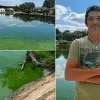 Blauwalg in vijver visclub Walsingen