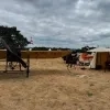 Fly-In pakt uit met bijzonder vliegtuig