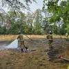 grasbrand droogte Vosselaar