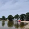 blauwalg Molenzijdse heide Hoge Rielen